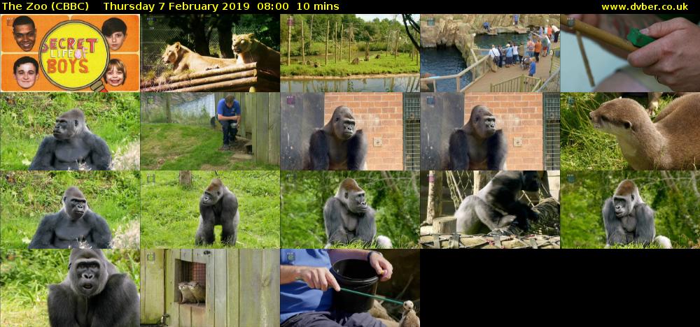 The Zoo (CBBC) Thursday 7 February 2019 08:00 - 08:10