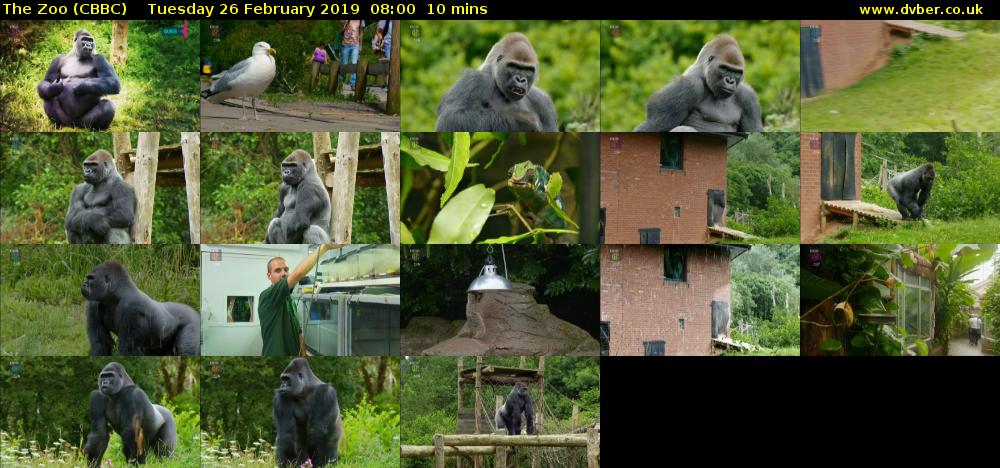 The Zoo (CBBC) Tuesday 26 February 2019 08:00 - 08:10