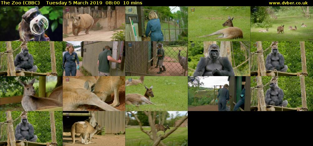 The Zoo (CBBC) Tuesday 5 March 2019 08:00 - 08:10