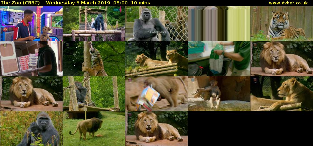 The Zoo (CBBC) Wednesday 6 March 2019 08:00 - 08:10