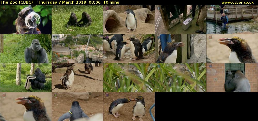 The Zoo (CBBC) Thursday 7 March 2019 08:00 - 08:10
