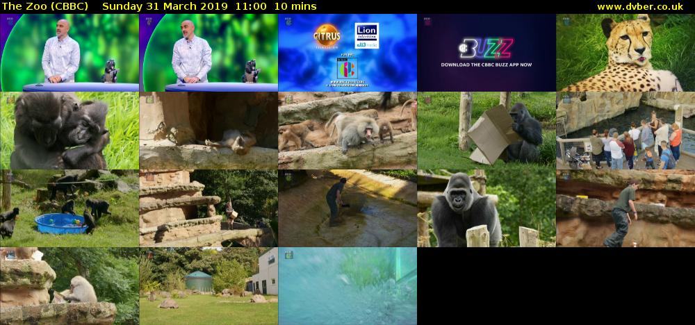 The Zoo (CBBC) Sunday 31 March 2019 11:00 - 11:10