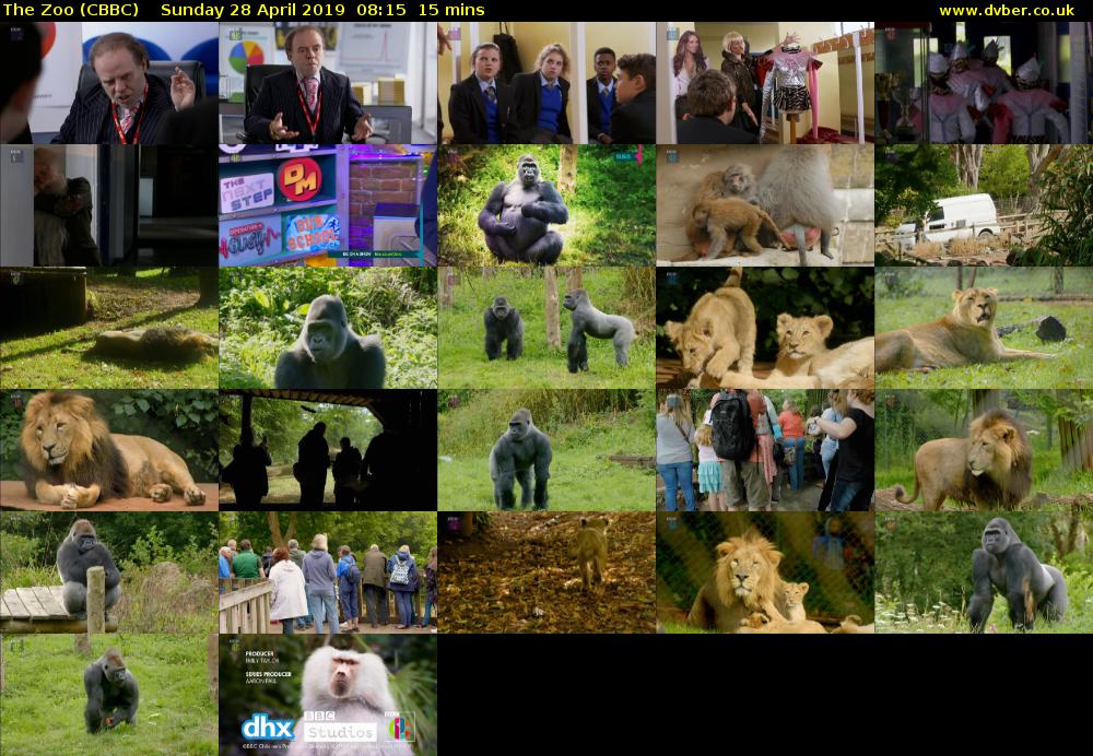 The Zoo (CBBC) Sunday 28 April 2019 08:15 - 08:30