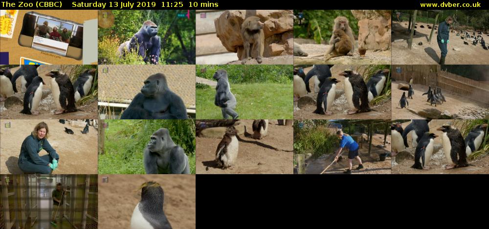 The Zoo (CBBC) Saturday 13 July 2019 11:25 - 11:35