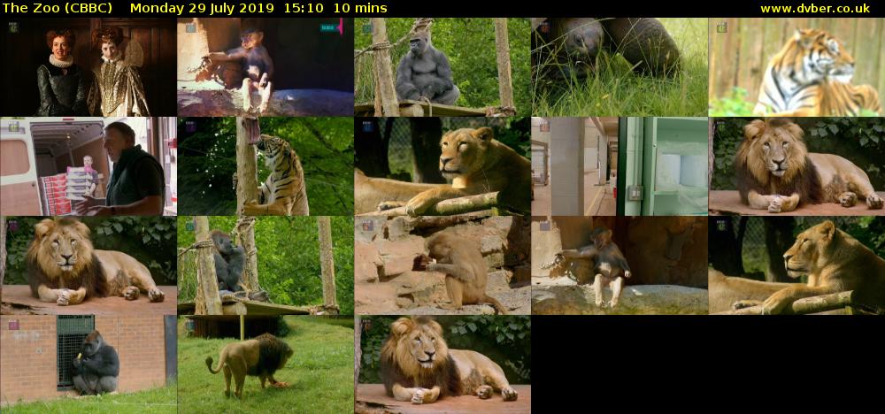 The Zoo (CBBC) Monday 29 July 2019 15:10 - 15:20
