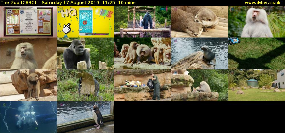 The Zoo (CBBC) Saturday 17 August 2019 11:25 - 11:35