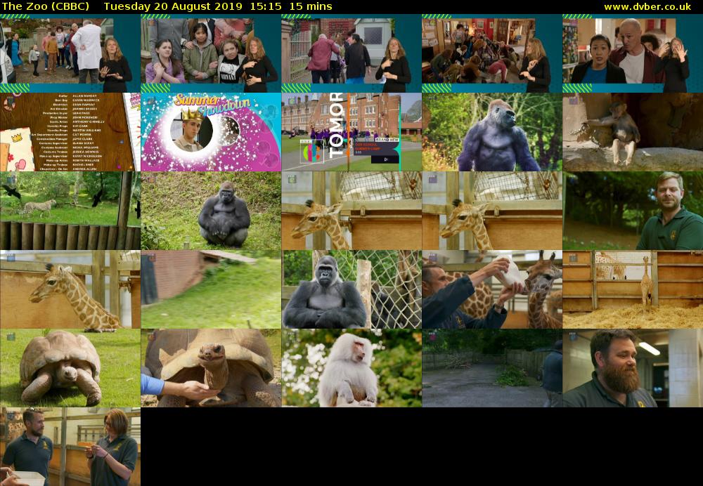 The Zoo (CBBC) Tuesday 20 August 2019 15:15 - 15:30