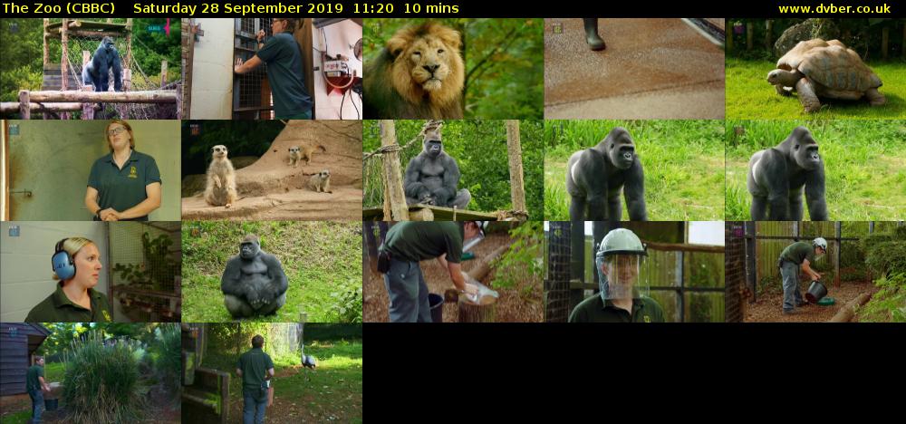 The Zoo (CBBC) Saturday 28 September 2019 11:20 - 11:30