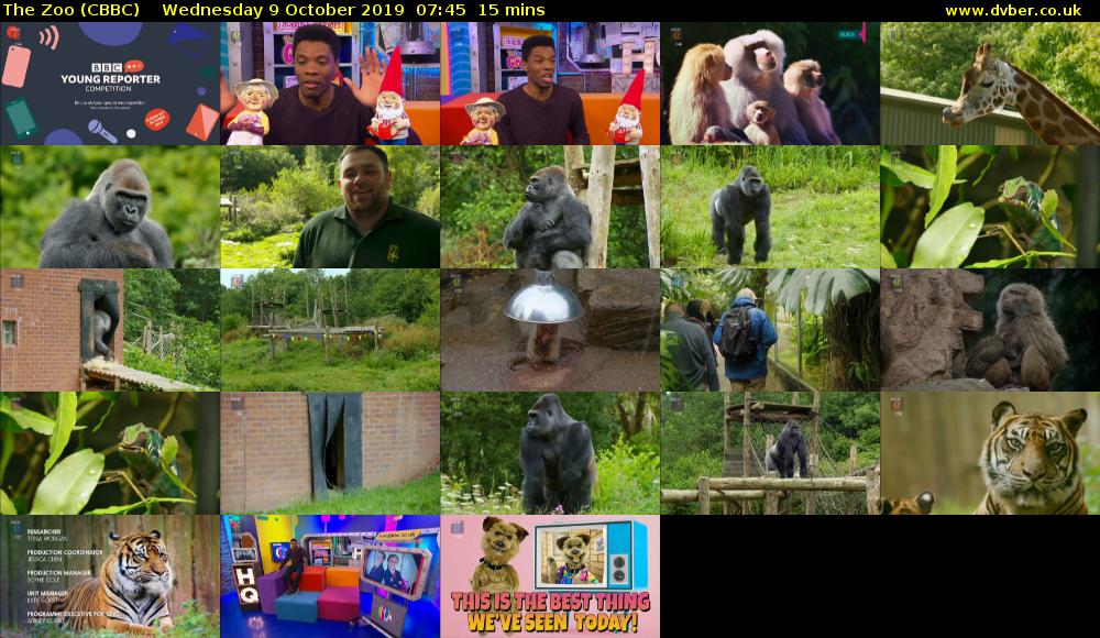 The Zoo (CBBC) Wednesday 9 October 2019 07:45 - 08:00