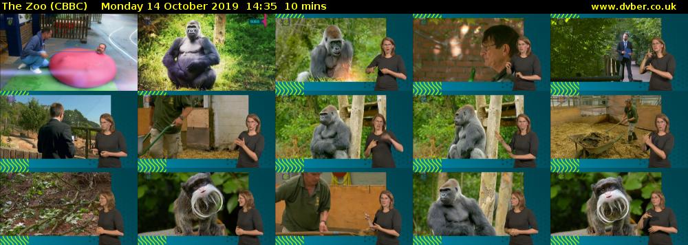 The Zoo (CBBC) Monday 14 October 2019 14:35 - 14:45
