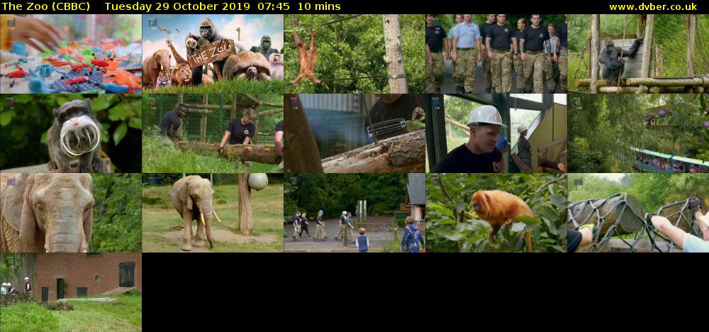 The Zoo (CBBC) Tuesday 29 October 2019 07:45 - 07:55