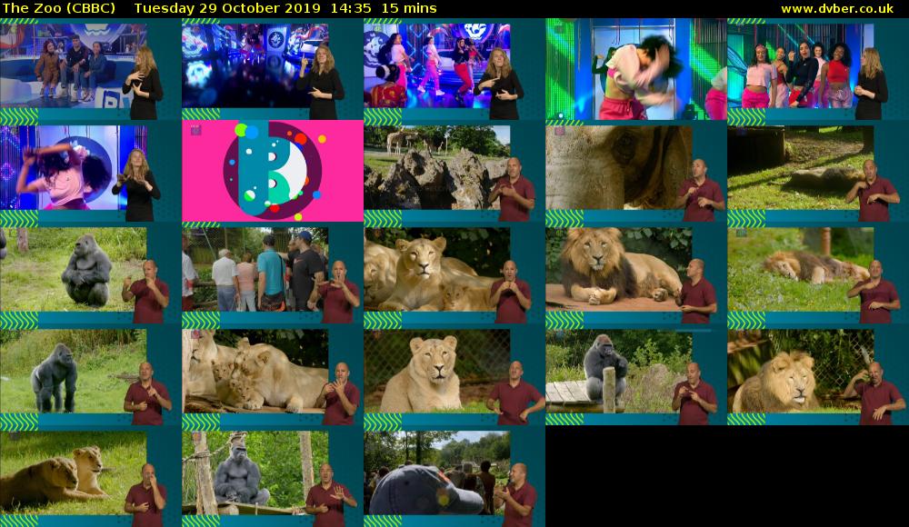 The Zoo (CBBC) Tuesday 29 October 2019 14:35 - 14:50