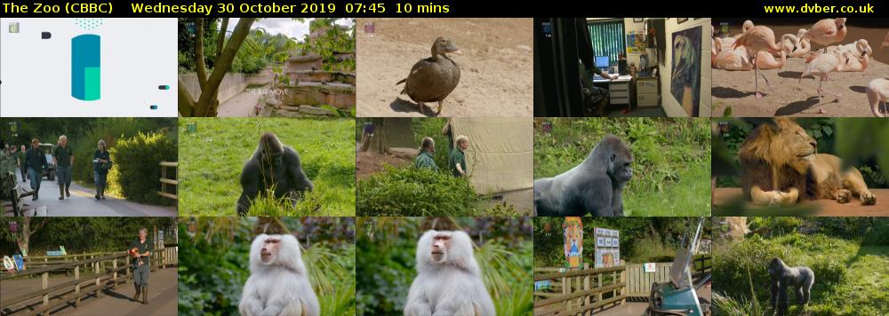 The Zoo (CBBC) Wednesday 30 October 2019 07:45 - 07:55