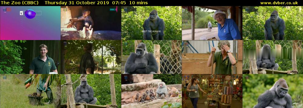 The Zoo (CBBC) Thursday 31 October 2019 07:45 - 07:55