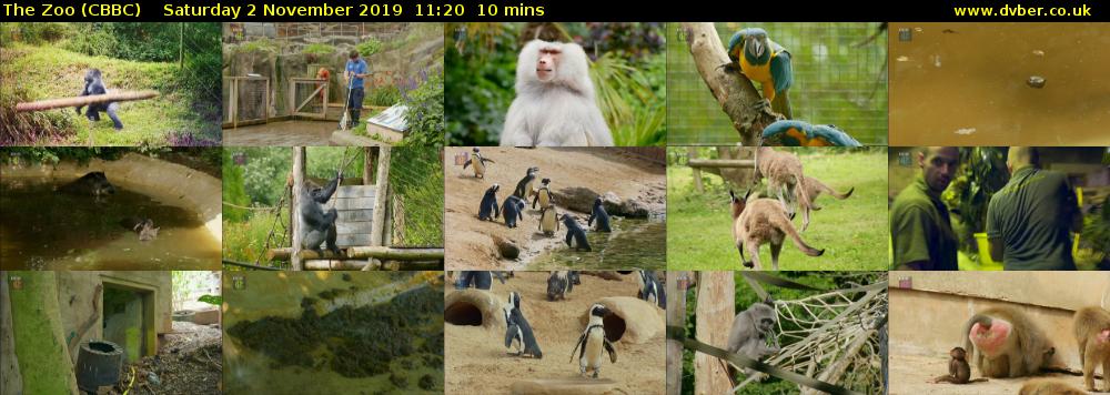 The Zoo (CBBC) Saturday 2 November 2019 11:20 - 11:30