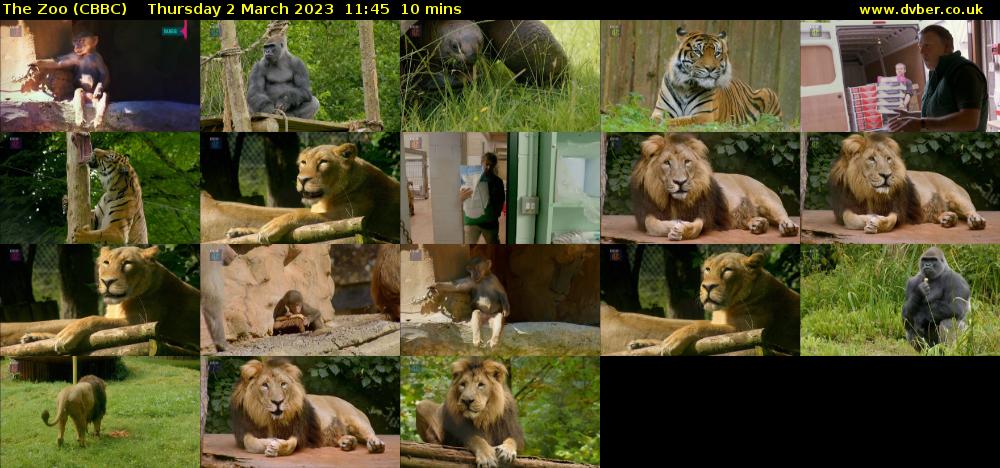 The Zoo (CBBC) Thursday 2 March 2023 11:45 - 11:55