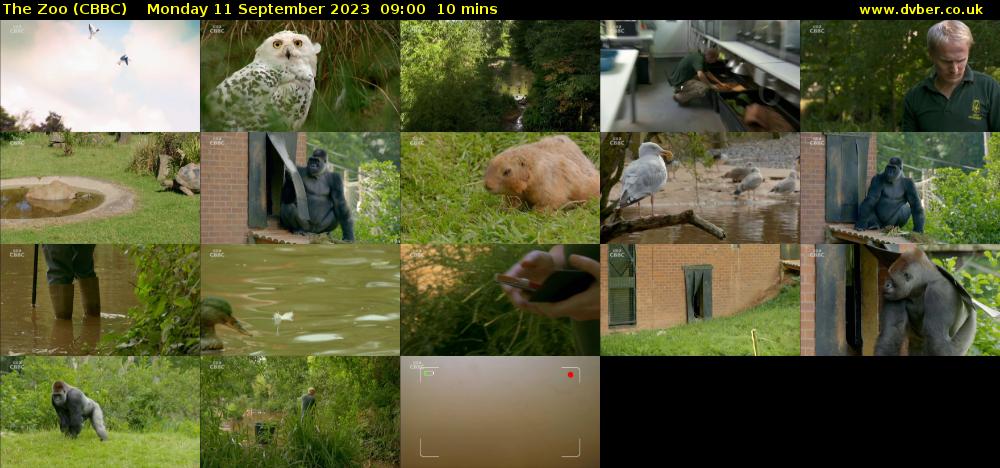 The Zoo (CBBC) Monday 11 September 2023 09:00 - 09:10