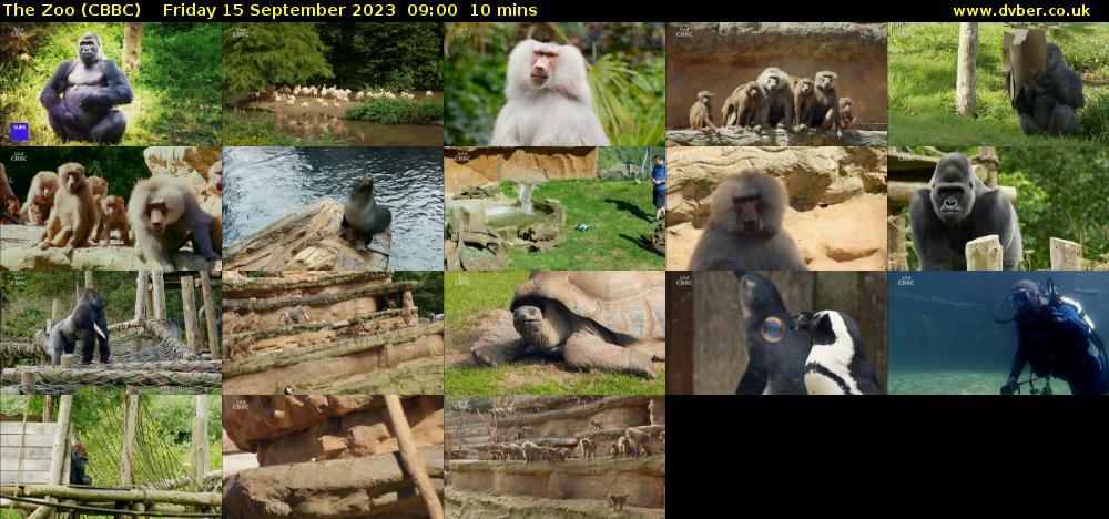 The Zoo (CBBC) Friday 15 September 2023 09:00 - 09:10