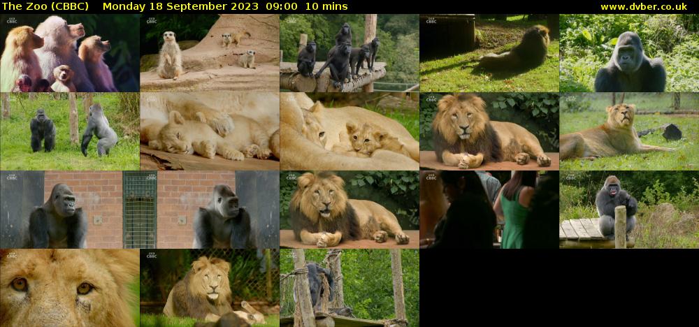 The Zoo (CBBC) Monday 18 September 2023 09:00 - 09:10