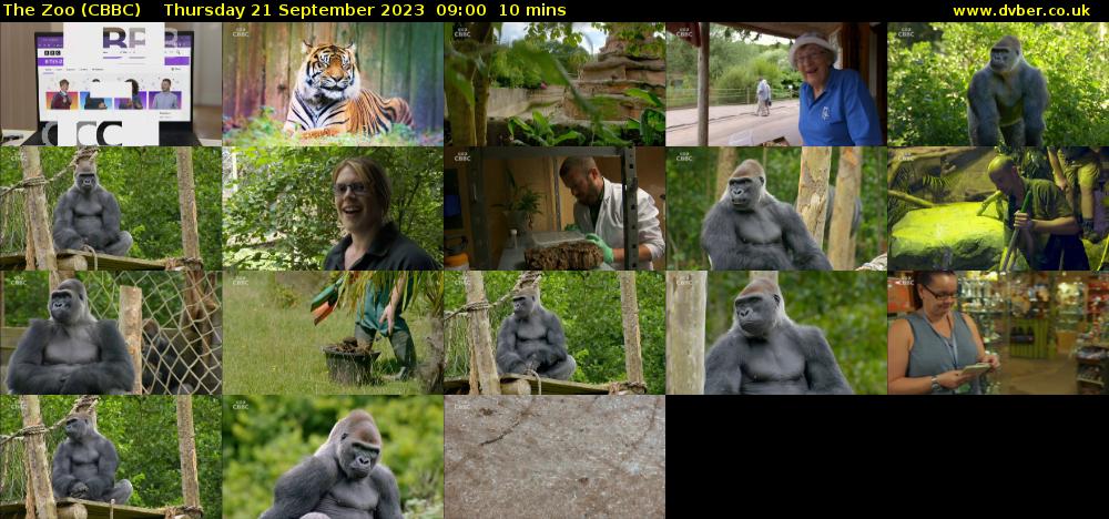 The Zoo (CBBC) Thursday 21 September 2023 09:00 - 09:10