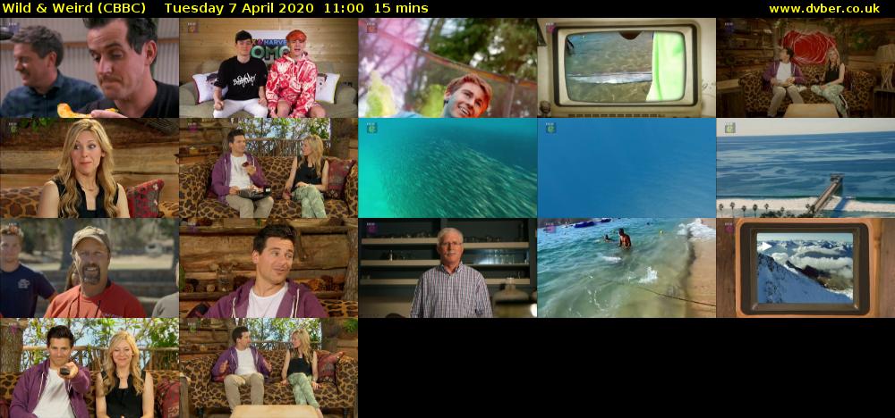Wild & Weird (CBBC) Tuesday 7 April 2020 11:00 - 11:15