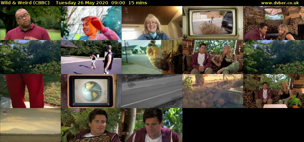 Wild & Weird (CBBC) Tuesday 26 May 2020 09:00 - 09:15
