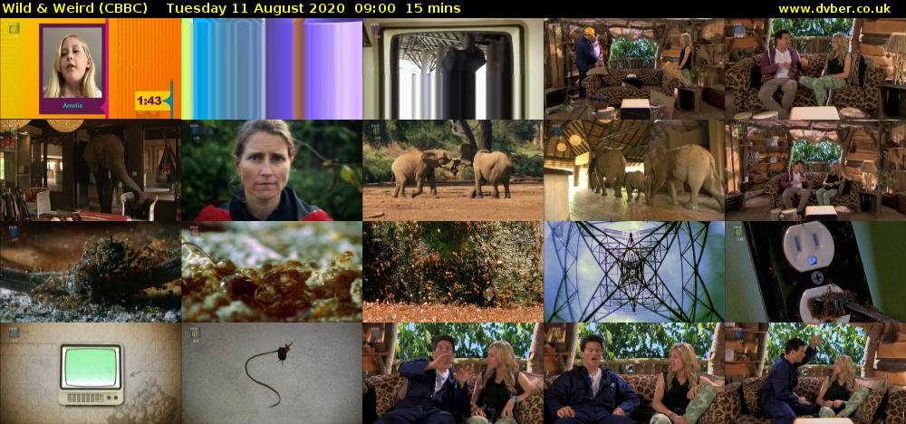 Wild & Weird (CBBC) Tuesday 11 August 2020 09:00 - 09:15