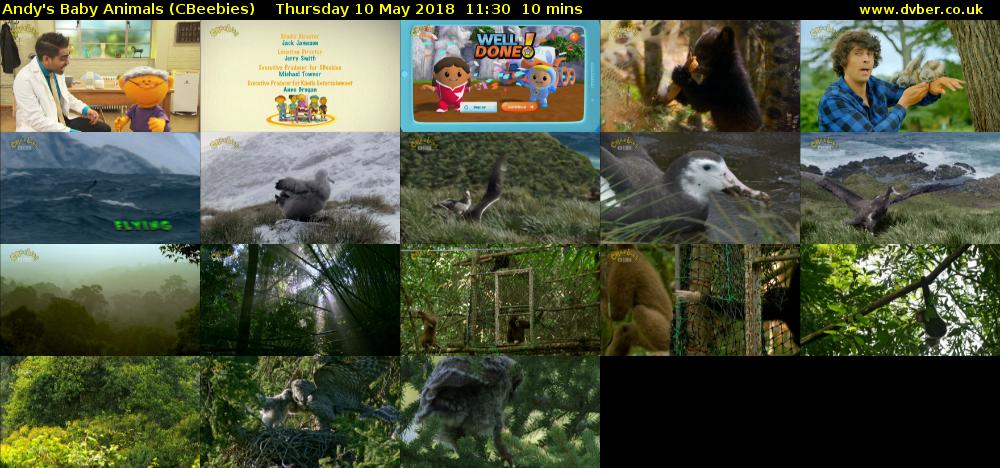 Andy's Baby Animals (CBeebies) Thursday 10 May 2018 11:30 - 11:40