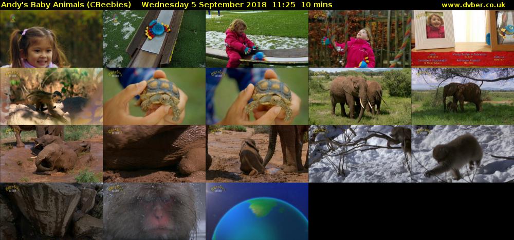 Andy's Baby Animals (CBeebies) Wednesday 5 September 2018 11:25 - 11:35