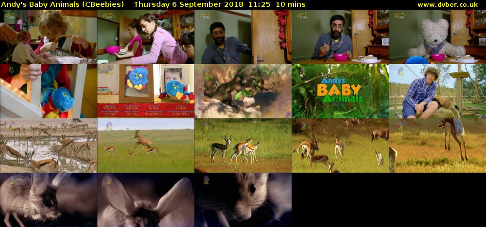 Andy's Baby Animals (CBeebies) Thursday 6 September 2018 11:25 - 11:35