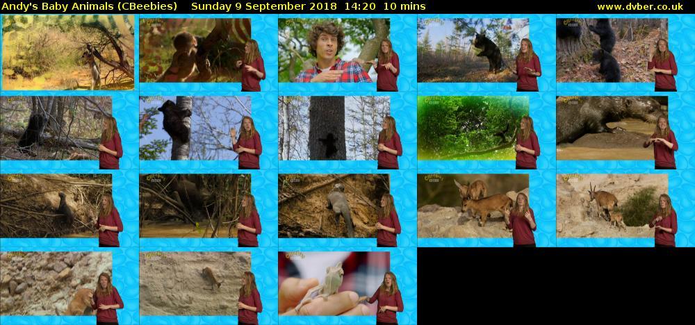 Andy's Baby Animals (CBeebies) Sunday 9 September 2018 14:20 - 14:30