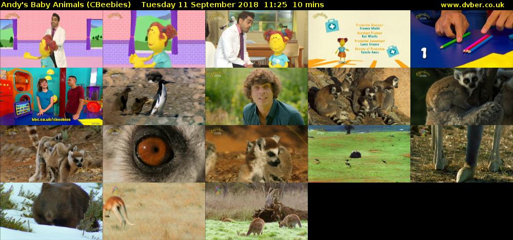 Andy's Baby Animals (CBeebies) Tuesday 11 September 2018 11:25 - 11:35