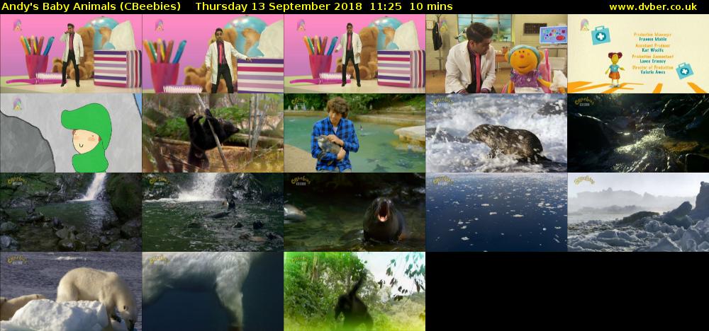 Andy's Baby Animals (CBeebies) Thursday 13 September 2018 11:25 - 11:35