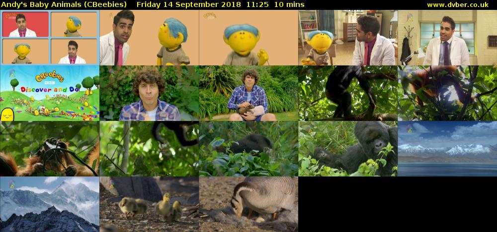 Andy's Baby Animals (CBeebies) Friday 14 September 2018 11:25 - 11:35