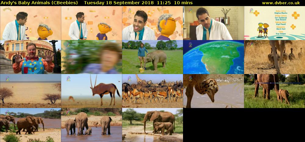 Andy's Baby Animals (CBeebies) Tuesday 18 September 2018 11:25 - 11:35