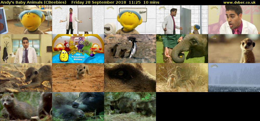 Andy's Baby Animals (CBeebies) Friday 28 September 2018 11:25 - 11:35