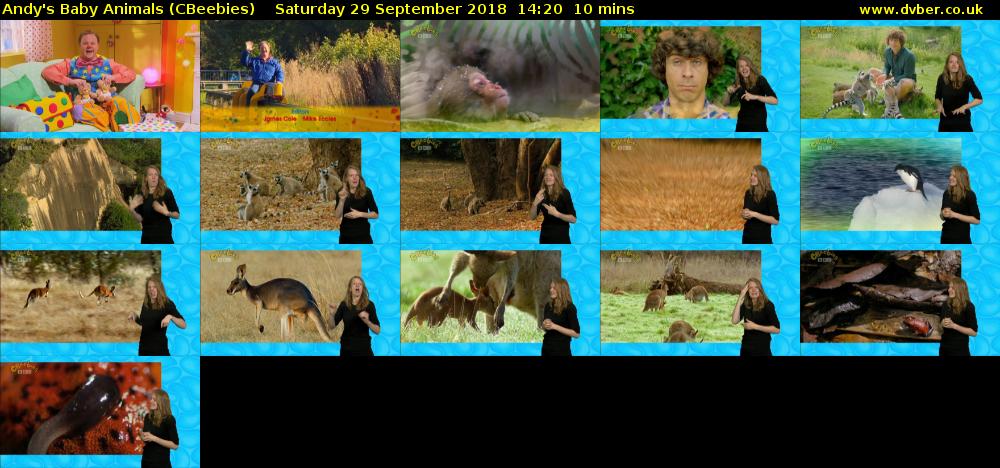 Andy's Baby Animals (CBeebies) Saturday 29 September 2018 14:20 - 14:30