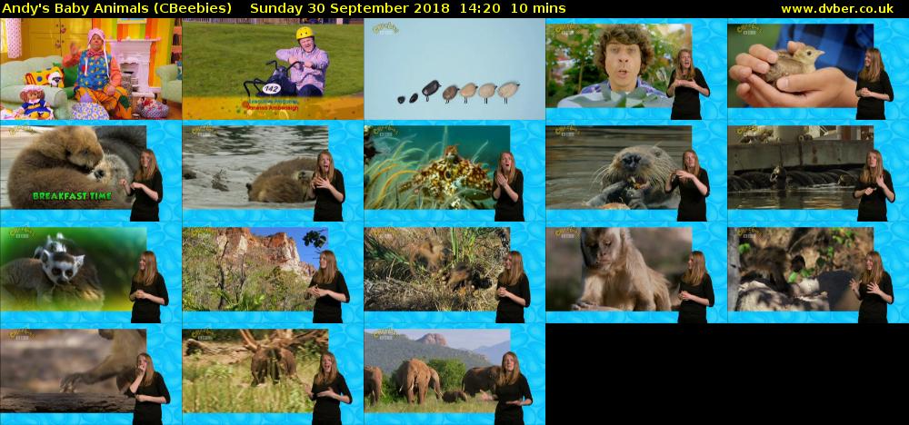 Andy's Baby Animals (CBeebies) Sunday 30 September 2018 14:20 - 14:30