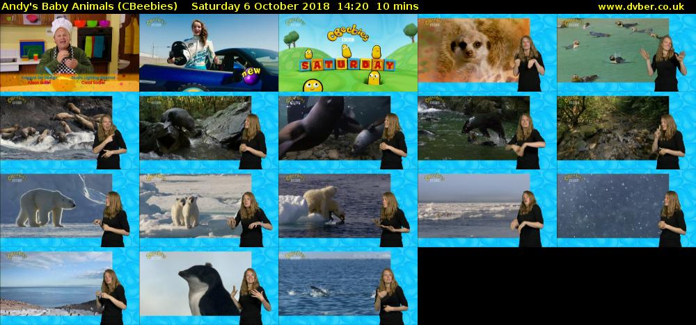 Andy's Baby Animals (CBeebies) Saturday 6 October 2018 14:20 - 14:30