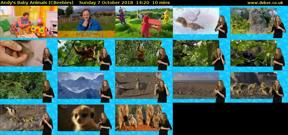 Andy's Baby Animals (CBeebies) Sunday 7 October 2018 14:20 - 14:30