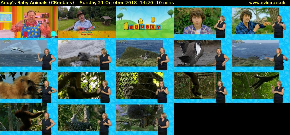Andy's Baby Animals (CBeebies) Sunday 21 October 2018 14:20 - 14:30