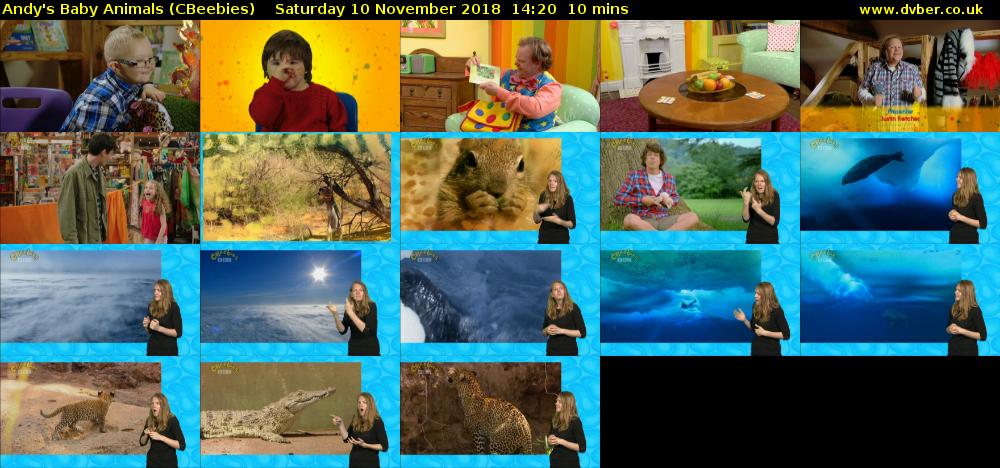 Andy's Baby Animals (CBeebies) Saturday 10 November 2018 14:20 - 14:30
