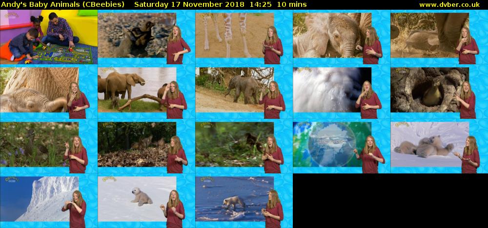 Andy's Baby Animals (CBeebies) Saturday 17 November 2018 14:25 - 14:35