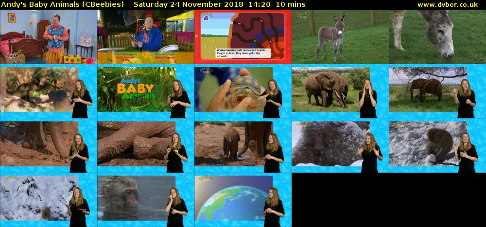 Andy's Baby Animals (CBeebies) Saturday 24 November 2018 14:20 - 14:30