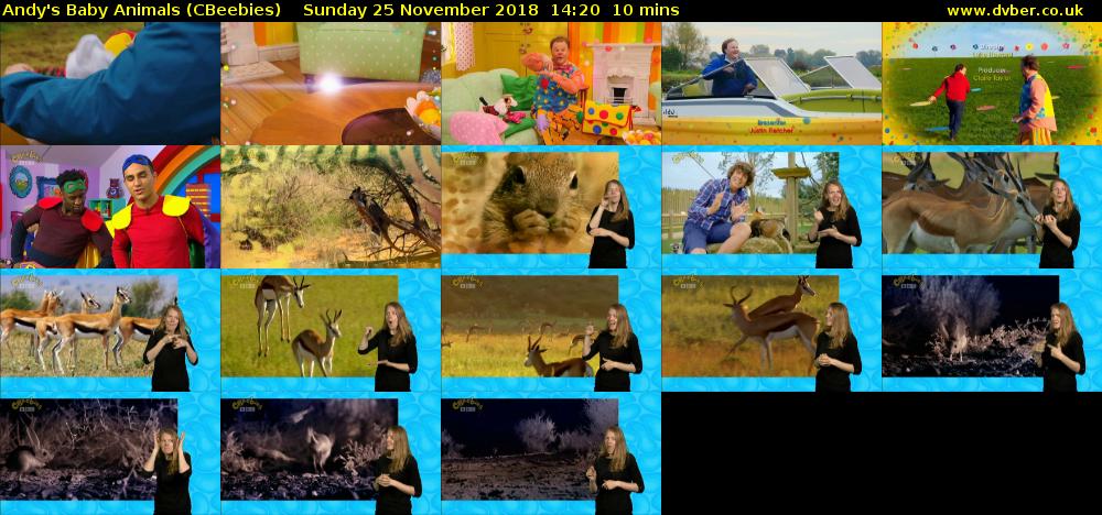 Andy's Baby Animals (CBeebies) Sunday 25 November 2018 14:20 - 14:30