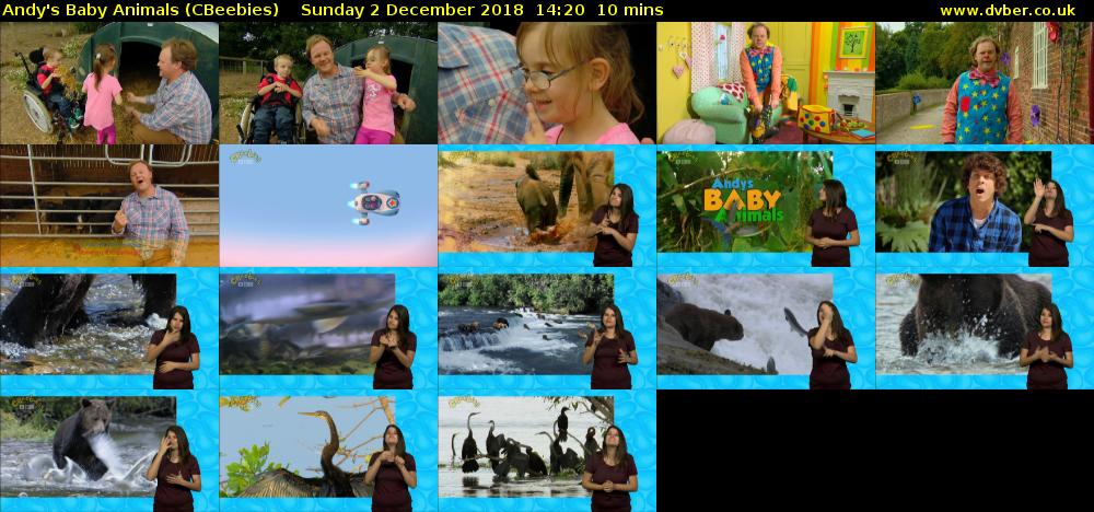 Andy's Baby Animals (CBeebies) Sunday 2 December 2018 14:20 - 14:30
