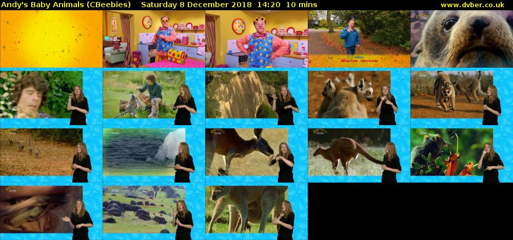 Andy's Baby Animals (CBeebies) Saturday 8 December 2018 14:20 - 14:30