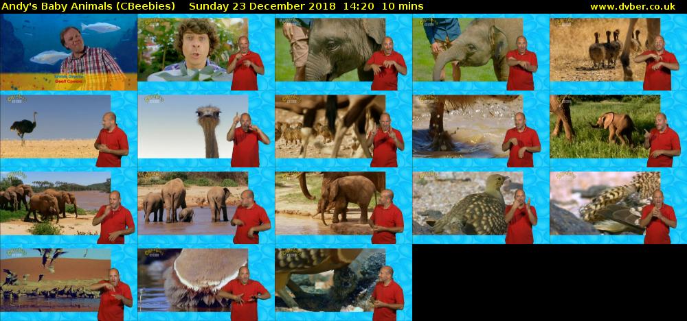 Andy's Baby Animals (CBeebies) Sunday 23 December 2018 14:20 - 14:30