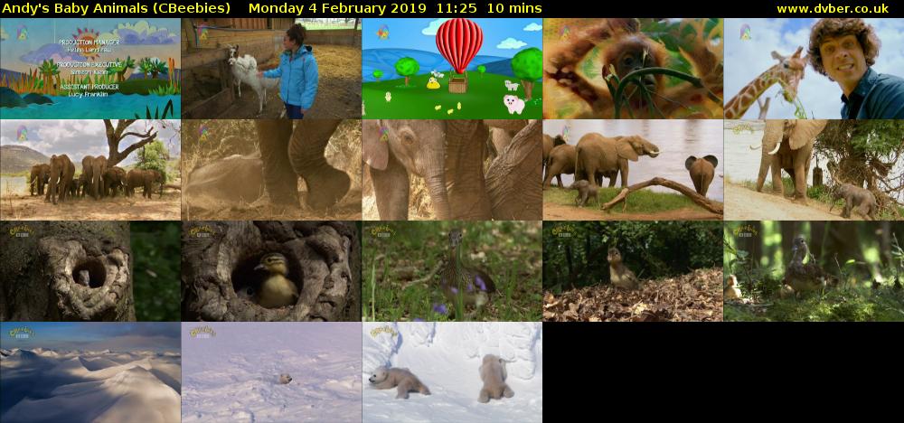 Andy's Baby Animals (CBeebies) Monday 4 February 2019 11:25 - 11:35