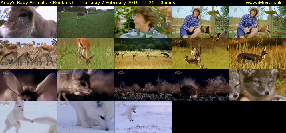 Andy's Baby Animals (CBeebies) Thursday 7 February 2019 11:25 - 11:35